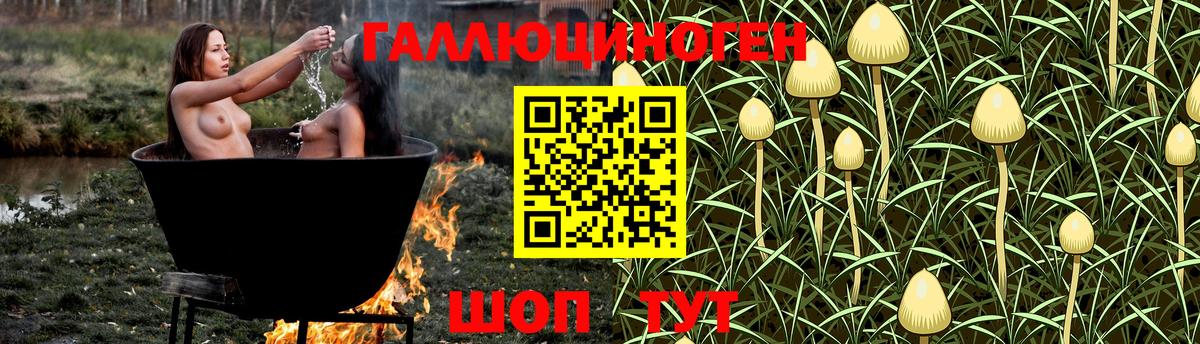 Грозный  Галлюциногенные грибы Psilocybe  Вход с VPN 